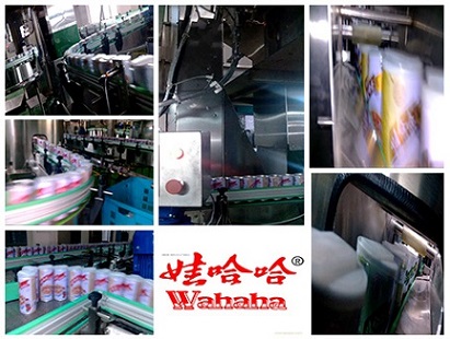 Wahaha Group-Babao porridge production line